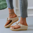 https://cdn.shopify.com/s/files/1/0533/9965/0491/files/S261bdd6861a249e1bb886ad73d9aac1cY.webp?v=1745926711